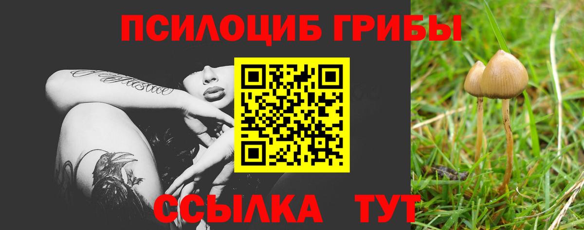 Псилоцибиновые грибы Magic Shrooms  Вход с VPN  Вятские Поляны 