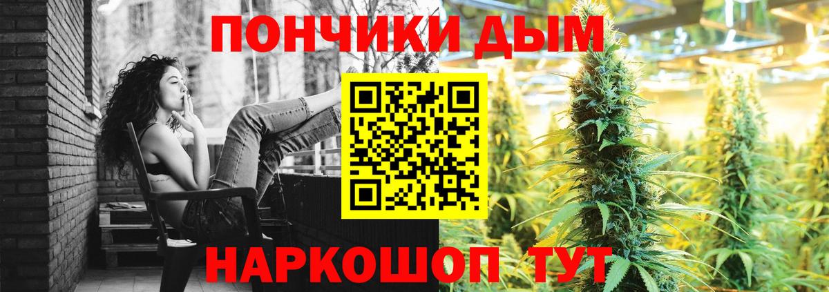Бошки Шишки сатива Вятские Поляны